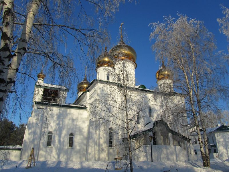 Богоявленский женский монастырь сверху