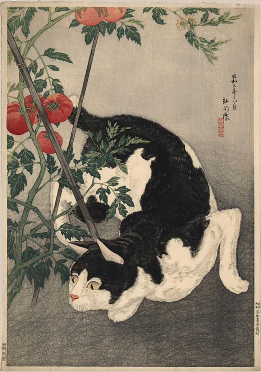 Кошки и япония